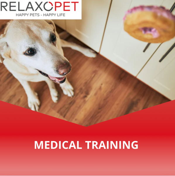 Medical training for dogs